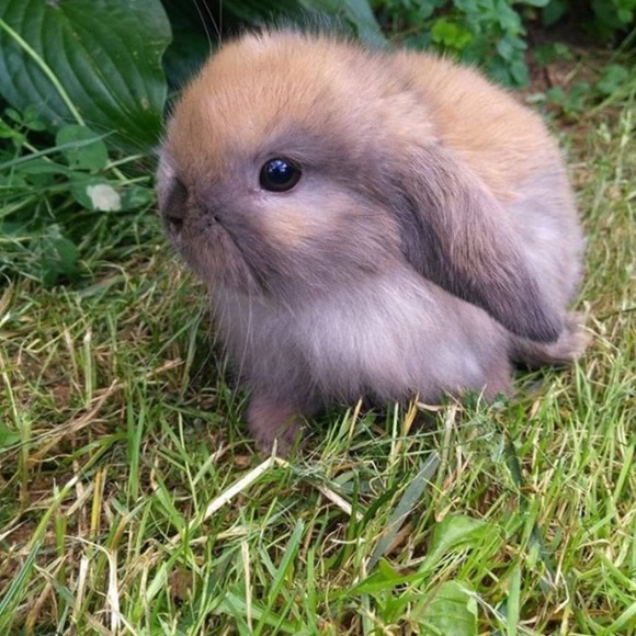 Meet your Posher, Andrea - Picture 1 of 1